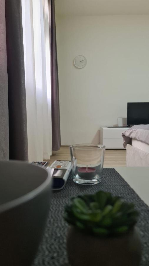 Apartman Pavlovic Лесковац Экстерьер фото